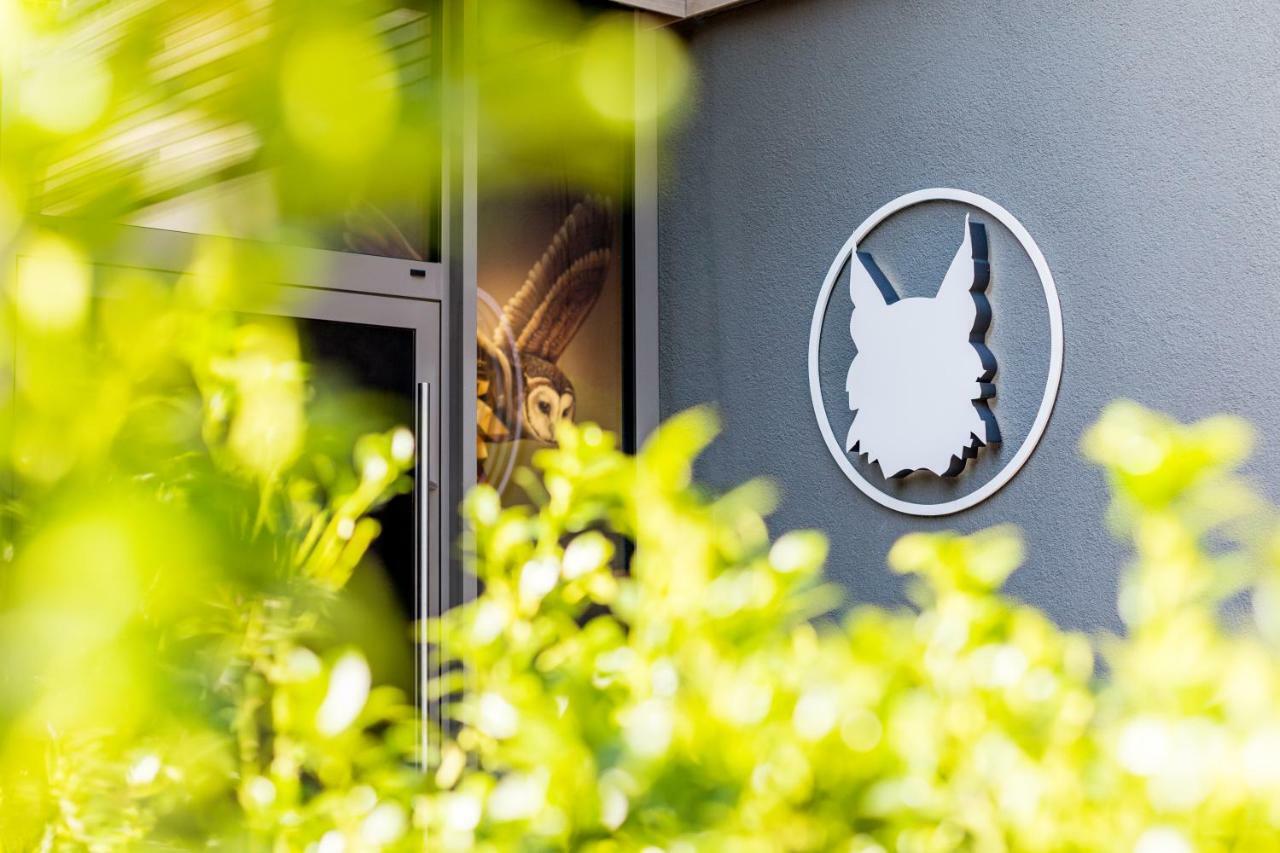 Echtzeit - Dein Hotelquartier Braunlage Buitenkant foto
